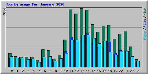 Hourly usage for January 2026