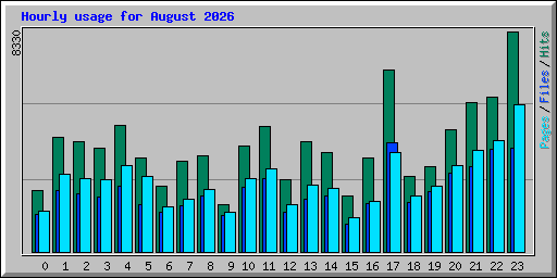 Hourly usage for August 2026